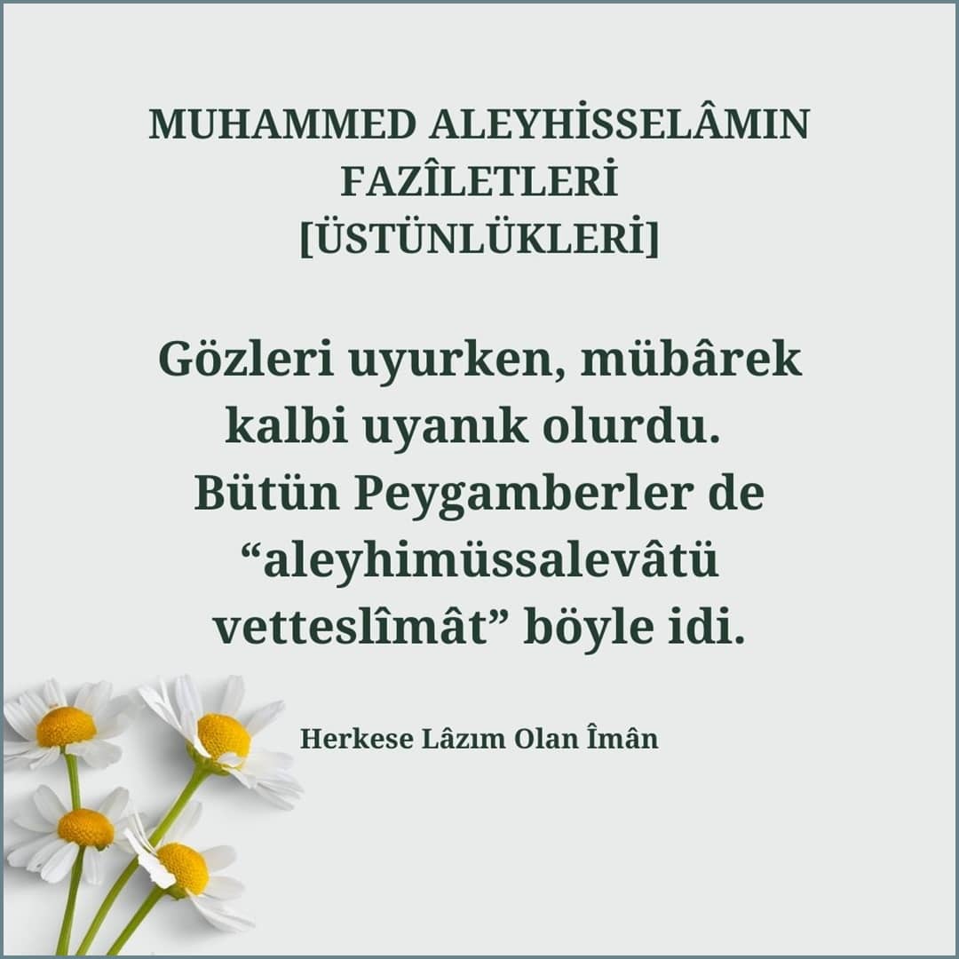 Üstünlükleri (12)